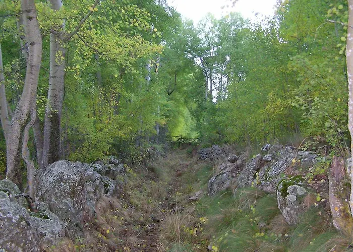 컨트리하우스 El Cerrillo Ii